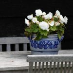 cadzand_dorf_atmo_15