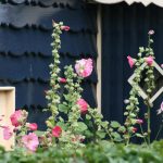 cadzand_dorf_atmo_16