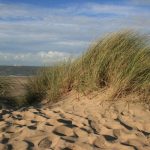 cadzand_dünen_26