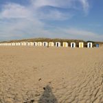 cadzand_strandpavillon_zeemeeuw_15