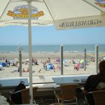cadzand_strandpavillon_zeemeeuw_21