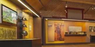 Museum der Zwin-Region: Sincfala