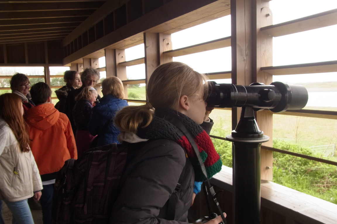 Vögelbeobachtungsstation im "Het Zwin"