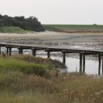 nieuwvliet_zwarte_polder_6