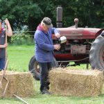 oostburg_pferdemolkerei_nortier_2016_19
