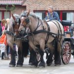 oostburg_pferdemolkerei_nortier_2016_4
