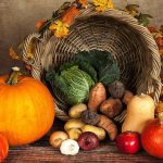 pumpkin-pixabay_1768857_1920