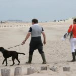 strand_hunde_13