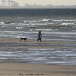 strand_hunde_7