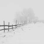 winter-20248_1920-pixabay