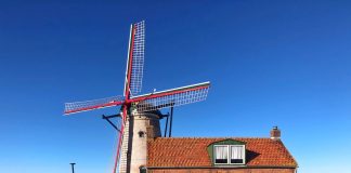 Windmühle Cadzand