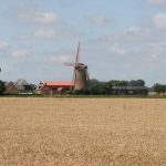 zuidzande_mühle_5