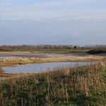 zwarte_polder_2