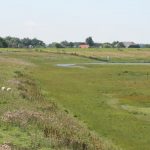 zwarte_polder_7
