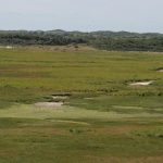 zwarte_polder_8