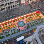 Brüssel_Flowercarpet_2010_10