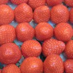 Erdbeeren