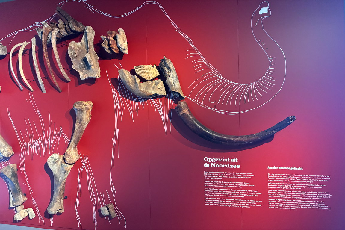 Fischereimuseum Breskens