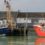 breskens_hafen_144