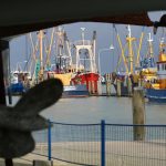 breskens_hafen_204