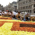 brüssel_blumenteppich_1