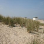 Breskens_Strand_2014_7