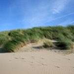 cadzand_dünen_3