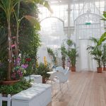 knokke_thee_met_vlienders_1