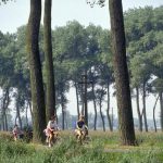 flandern_landschaft_2