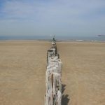 Cadzand_Strand_Wellenbrecher_2014_1
