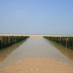 Cadzand_Strand_Wellenbrecher_2014_33