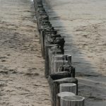 Cadzand_Strand_Wellenbrecher_2014_45
