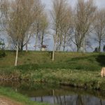 Sluis_Wall_2014_7