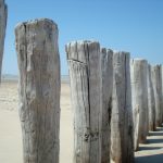 strand_wellenbrecher_11