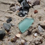 Cadzand_Strand_Strandfunde_1