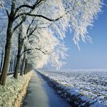 Winter Landscape – NBTC_normal_jpg_6042