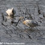 natur_wanderungen_demaecker_14
