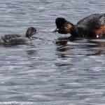 natur_wanderungen_demaecker_15