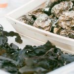 foodfest-sfeerfotos-2016-8