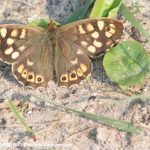 natur_wanderungen_demaecker_1