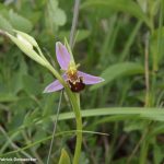 natur_wanderungen_demaecker_10