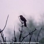 natur_wanderungen_demaecker_12