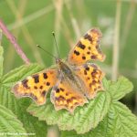 natur_wanderungen_demaecker_2