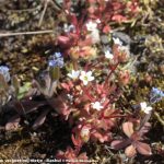 natur_wanderungen_demaecker_3