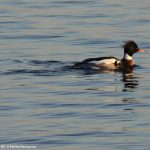 natur_wanderungen_demaecker_6