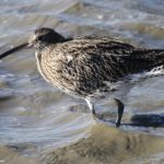 natur_wanderungen_demaecker_7