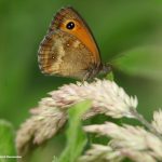 natur_wanderungen_demaecker_8