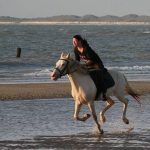 Groede_B&B Zoete Peerd_Paardrijden in Zeeland_1
