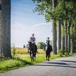 Groede_B&B Zoete Peerd_Paardrijden in Zeeland_2