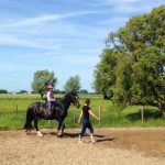 groede_zoete_peerd_10